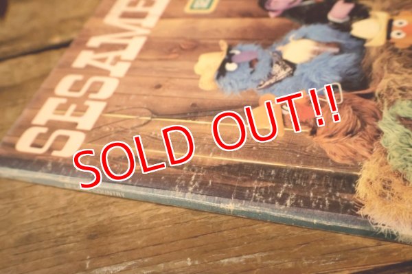 画像6: ct-251201-47 SESAME STREET 1981 SESAME COUNTRY LP Record