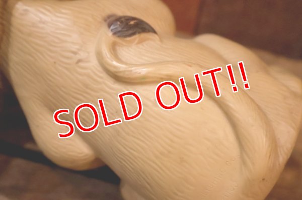 画像8: ct-251201-29 Tawny Scrawny Lion / PLAY PAL PLASTIC 1970's Coin Bank