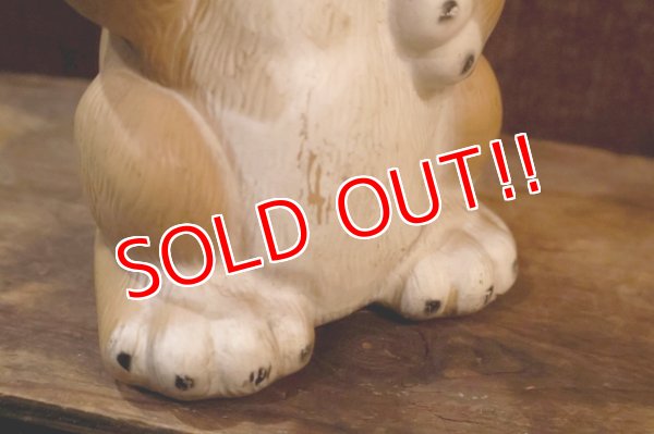 画像4: ct-251201-29 Tawny Scrawny Lion / PLAY PAL PLASTIC 1970's Coin Bank