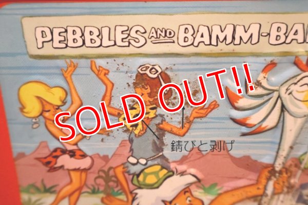 画像8: ct-251201-08 PEBBLES AND BAMM BAMM / ALADDIN 1971 Metal Lunch Box