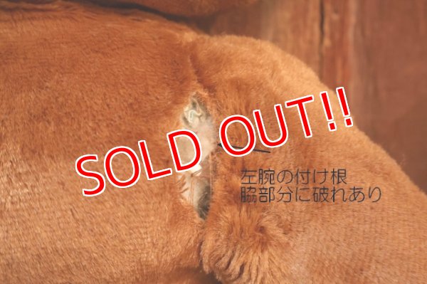 画像14: ct-260325-35 Smokey Bear / Knickerbocker 1960's Huge Plush Doll