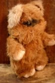 画像6: ct-260325-15 STAR WARS / Kenner 1983 Wicket the Ewok Plush Doll