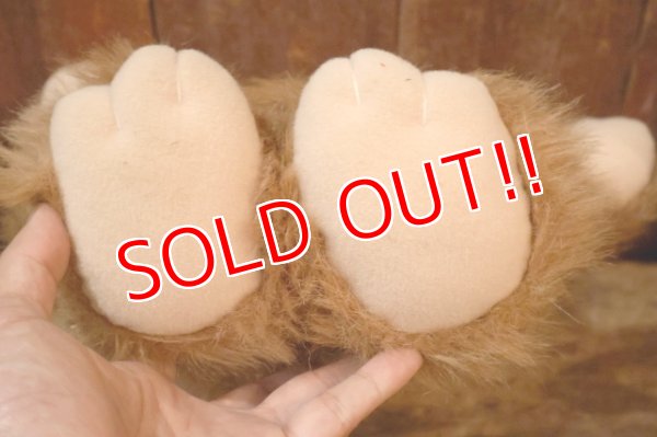 画像9: ct-260325-15 STAR WARS / Kenner 1983 Wicket the Ewok Plush Doll