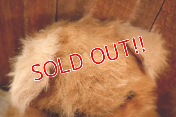 画像7: ct-260325-15 STAR WARS / Kenner 1983 Wicket the Ewok Plush Doll