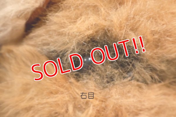 画像2: ct-260325-15 STAR WARS / Kenner 1983 Wicket the Ewok Plush Doll