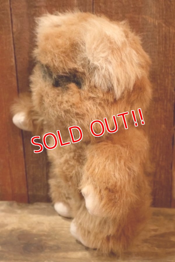 画像5: ct-260325-15 STAR WARS / Kenner 1983 Wicket the Ewok Plush Doll