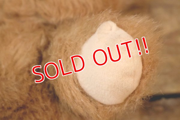 画像10: ct-260325-15 STAR WARS / Kenner 1983 Wicket the Ewok Plush Doll