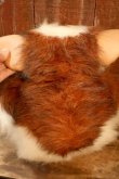画像11: ct-260322-06 GREMLiNS / Quiron 1993 Gizmo Large Plush Doll