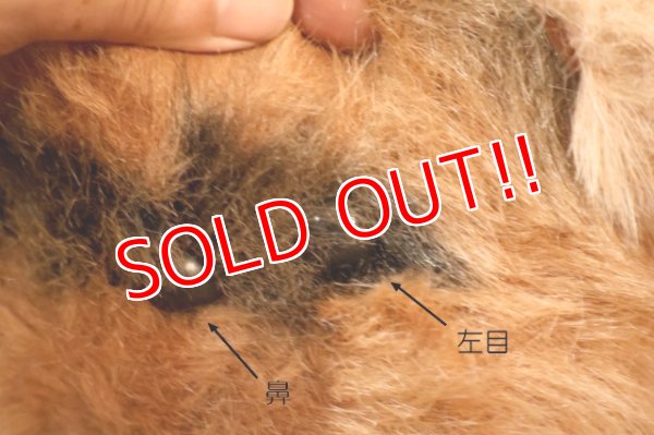 画像3: ct-260325-15 STAR WARS / Kenner 1983 Wicket the Ewok Plush Doll