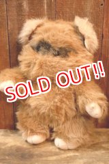 画像: ct-260325-15 STAR WARS / Kenner 1983 Wicket the Ewok Plush Doll