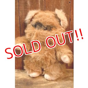 画像: ct-260325-15 STAR WARS / Kenner 1983 Wicket the Ewok Plush Doll
