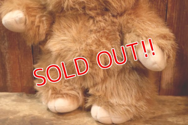 画像4: ct-260325-15 STAR WARS / Kenner 1983 Wicket the Ewok Plush Doll