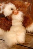 画像3: ct-260322-06 GREMLiNS / Quiron 1993 Gizmo Large Plush Doll