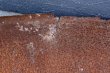 画像15: dp-260417-02 Goodrich Silvertowns 1930's-1940's Metal Sign