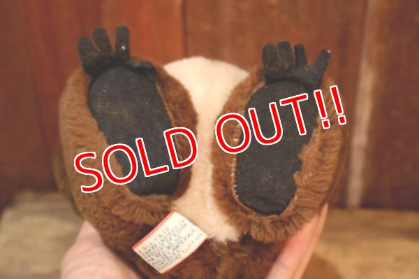 画像7: ct-260401-58 Misha Bear / DAKIN 1979 Plush Doll