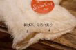 画像10: ct-260325-01 Teddy Snow Crop / 1950's Hand Puppet