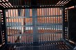 画像11: dp-260401-06 SAFEWAY 2000's Shopping Basket