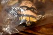 画像14: ct-260501-01 McDonald's / the Hamburglar 1970's Pillow Doll