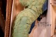 画像16: ct-260325-09  Beany and Cecil / MATTEL 1962 CECiL DISGUISE KIT DOLL