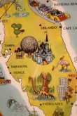 画像5: ct-260601-07 Walt Disney World / 1970's Serving Tin Tray 