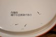 画像12: ct-260601-07 Walt Disney World / 1970's Serving Tin Tray 