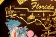 画像5: ct-260601-06 Walt Disney World / 1970's Serving Tin Tray 