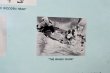画像8: nt-260601-01 PINOCCHIO / 1960's LP Record