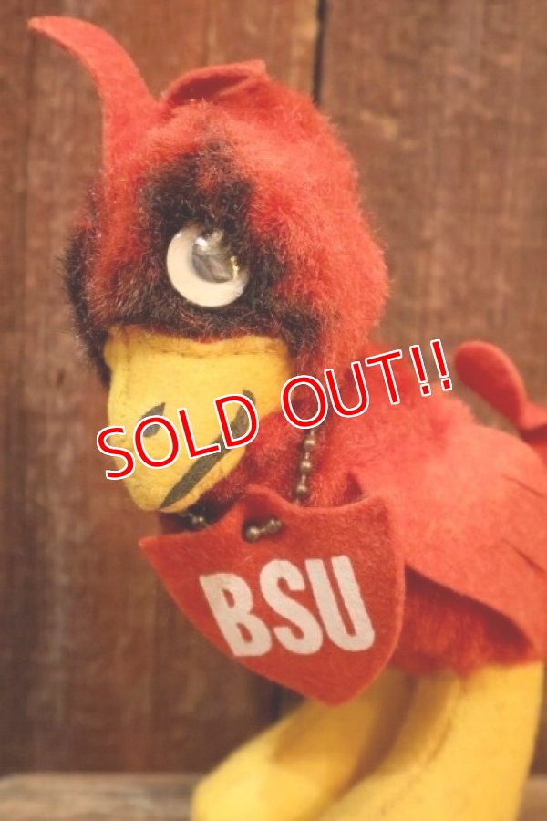 画像2: ct-250908-01 Collegiate 1950's-1960's College Mascot Doll "BSU" Bird