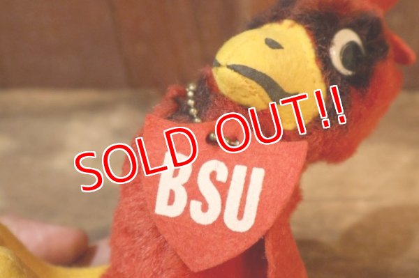 画像5: ct-250908-01 Collegiate 1950's-1960's College Mascot Doll "BSU" Bird