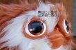 画像3: ct-260801-60 GRENLiNS / Hasbro 1980's Gizmo Plush Doll
