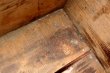 画像13: dp-260801-20 CANADA DRY / 1960's Wood Crate Box