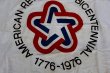 画像2: dp-250320-20 AMERICAN REVOLUTION BICENTENNIAL 1776-1976 FLAG