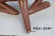 画像20: ct-260922-18 【※店頭ピックのみ】Tasmanian Devil 2000's Big Statue