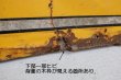 画像14: 【※店頭ピックのみ】dp-260901-25 QUAKER STATE MOTOR OIL 1960's "Buy Quality" Metal Sign