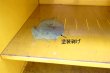 画像20: dp-260901-06 ANCO WINDSHIELD WIPER AND ARMS 1950's-1960's METAL CABINET