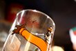 画像8: gs-260601-11 A&W Restaurants 1970's Great Root Bear Glass