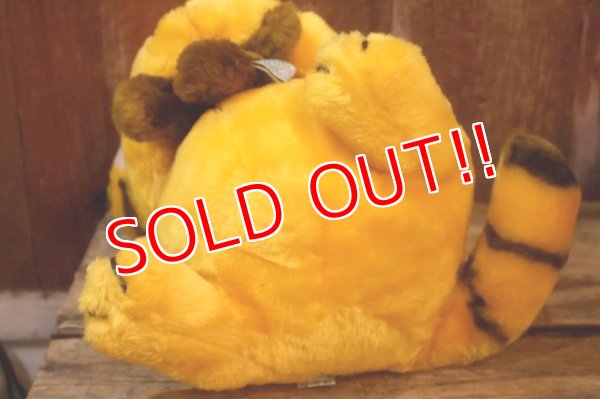 画像9: ct-261014-27 Garfield & Pooky / DAKIN 1980's Plush Doll