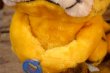 画像8: ct-261014-27 Garfield & Pooky / DAKIN 1980's Plush Doll
