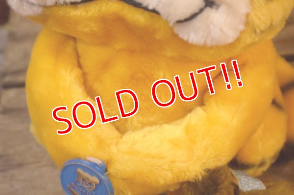 画像8: ct-261014-27 Garfield & Pooky / DAKIN 1980's Plush Doll