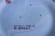画像4: dp-210501-55 U.S. ARMY MEDICAL DEPARTMENT / Vintage Plate