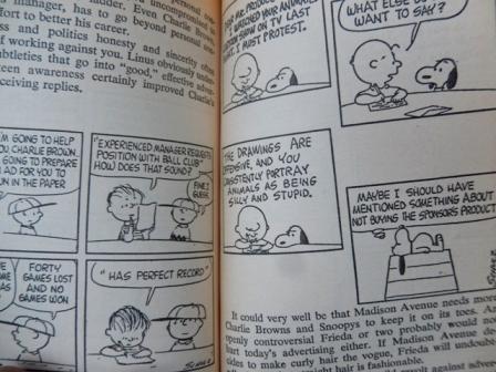 画像: bk-131029-02 PEANUTS / 1969 What's It All About,Charlie Brown?
