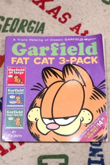 画像1: ct-210501-94 Garfield / 2003 Garfield FAT CAT 3-PACK Comic