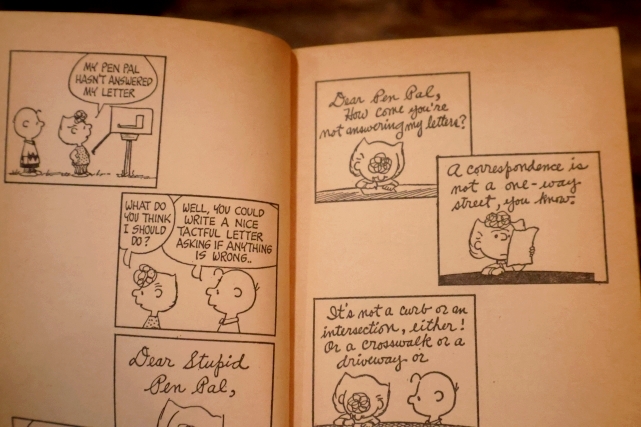 画像3: ct-220801-48 PEANUTS / 1970's Comic "YOU'RE ON YOUR OWN, SNOOPY"