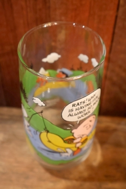 画像6: gt-250618-17 McDonald's / 1983 Camp Snoopy Collection Glass "Charlie Brown"