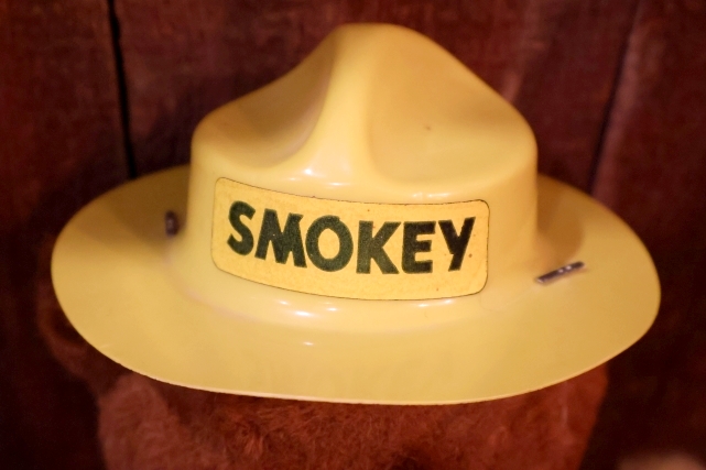 画像3: ct-251201-16 Smokey Bear / IDEAL 1960's Plush Doll