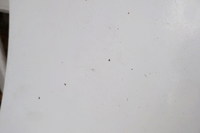 画像8: dp-251008-35 CITGO 2000's Public Phone Side Panel