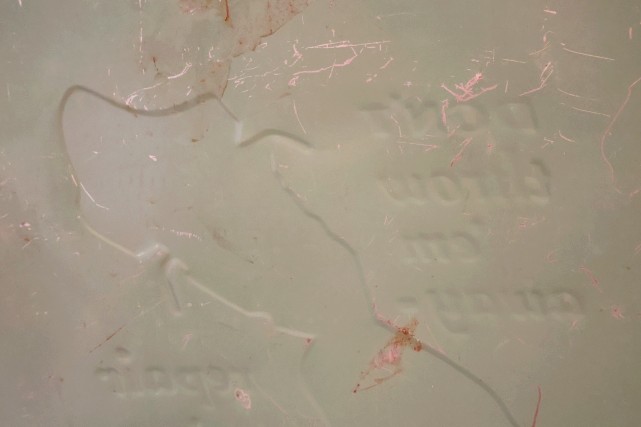 画像12: dp-260204-06 CAT'S PAW Rubber Heels 1940's Advertising Metal Sign