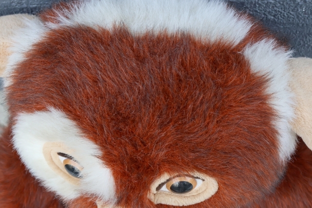 画像5: ct-260417-02 GREMLiNS / Quiron 1993 Gizmo Huge Plush Doll