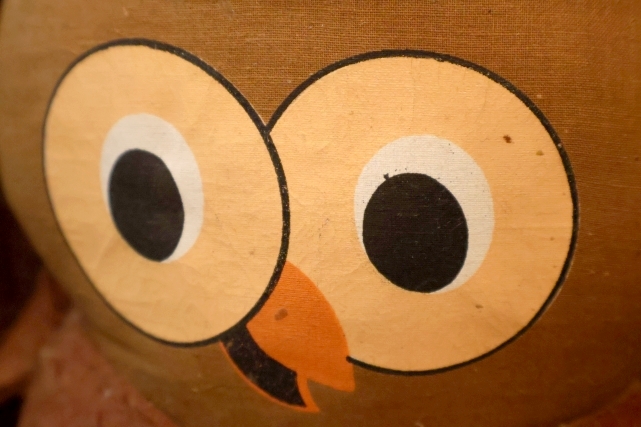 画像2: ct-260325-16 Woodsy Owl / Amway 1970's Teach 'N' Play Pre-School Toy
