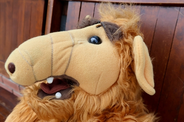 画像4: ct-260325-43 ALF / 1980's Talking 20" Plush Doll